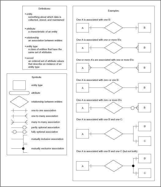 Rule for drawing an E-R diagram