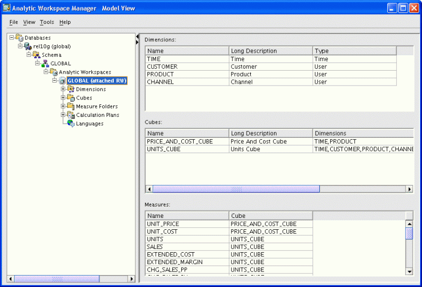 Model View in Analytic Workspace Manager